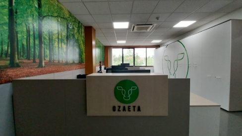 mobiliario de oficina Vitoria-Gasteiz Dimensión